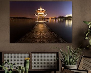 West Lake at night by Niek Wittenberg