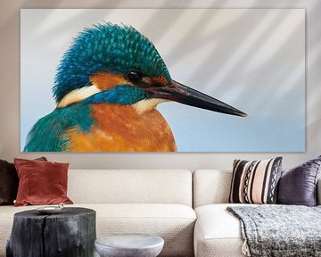 Kingfisher - Portrait by Kingfisher.photo - Corné van Oosterhout