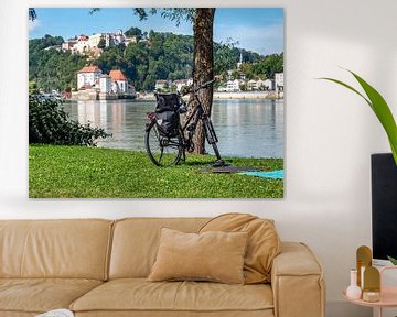 met de fiets op de Donau-fietsroute bij Passau in Beieren van Animaflora PicsStock