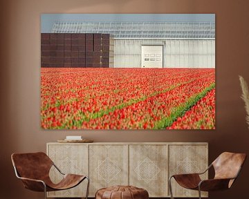 Red tulips and straight lines von Remco Swiers