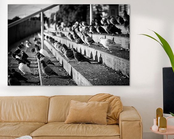 Aperçu de la chambre