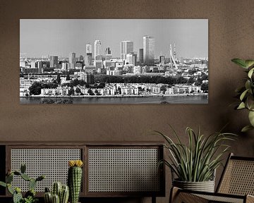 Skyline de Rotterdam avec vue sur le pont Erasmus Noir/Blanc sur Omni VR