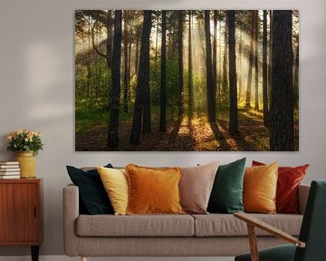 forêt ensoleillée sur Mykhailo Sherman