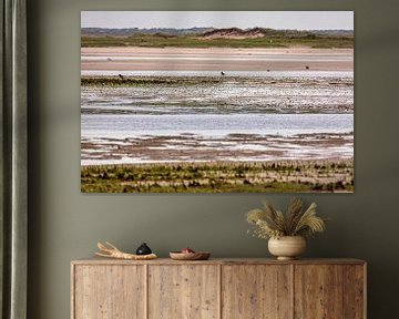 Nature reserve the Slufter on the island of Texel by Rob Boon