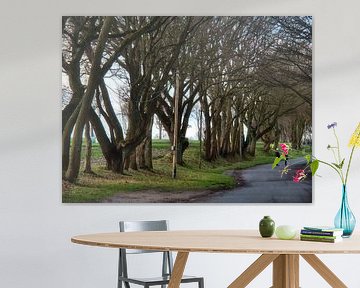 Road without cars
