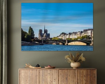 View of a bridge and Notre-Dame Cathedral in Paris, F by Rico Ködder