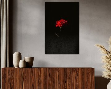 Stillleben mit roten Rosen von Irmgard Averesch
