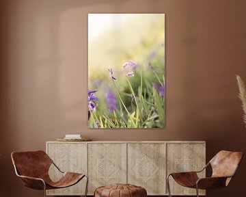 Hyacinth Forest by Susanne van Hofwegen
