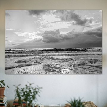 North Sea - Westerschouwen Zeeland