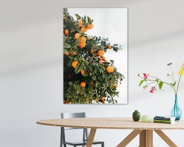 Spaanse sinaasappels | Spanje | Oranje | Fruit | Botanische foto van Mirjam Broekhof