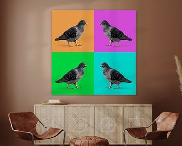 Quatre pigeons voyageurs en blocs de couleur orange, violet, vert et bleu. sur Leoniek van der Vliet