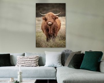 Schotse hooglander koe in de wind van KB Design & Photography (Karen Brouwer)