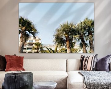Palmen auf der Promenade von Cannes von Wianda Bongen