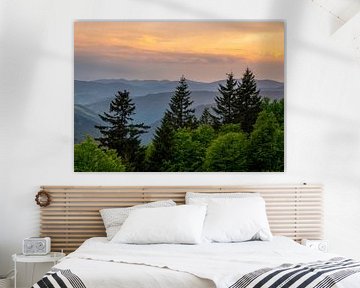 Ausblick über den Schwarzwald in Baden-Württemberg von Animaflora PicsStock