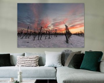 Vineyard at sunset by Alexander Kiessling