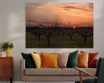 Fruitbomen bij zonsondergang van Alexander Kiessling