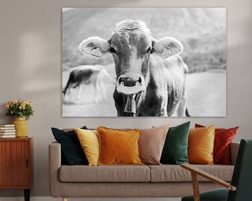 Zwart wit portret van een koe in Zwitserland | Dierenfoto wall art van Milou van Ham