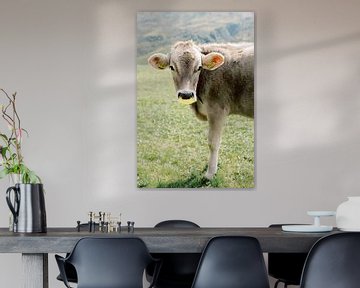 Koe in Zwitserland | Dierenfotografie wall art van Milou van Ham