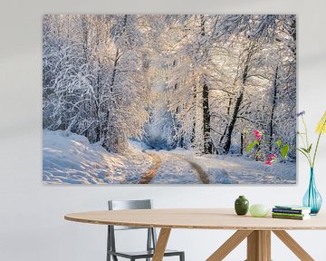 Winter time by Wim van D