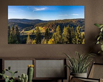 Panorama de la maison de la Forêt-Noire sur Werner Dieterich