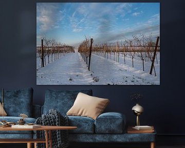 Wijngaard in de winter van Alexander Kiessling