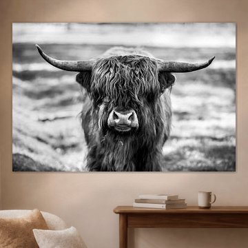 Scottish Highlander by Nathalie Bauland