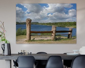 at the nature reserve Elbsee in Düsseldorf by Peter Eckert