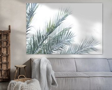 Groene palmbomen | Reisfotografie | Fine Art van Nanda Bussers