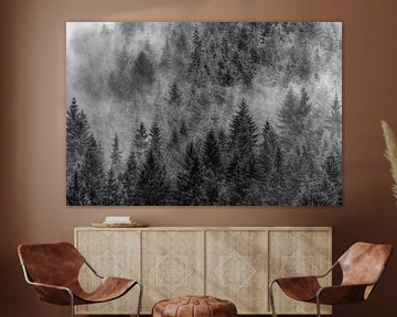 Dennenbomen in mist | Zwart-wit | Polen van Nanda Bussers