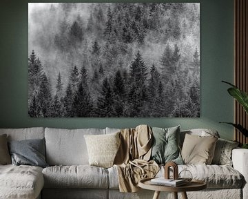 Zwart wit foto van bomen in Polen