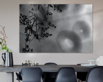 Waterdruppels in zwart wit | Fine Art Photo van Nanda Bussers