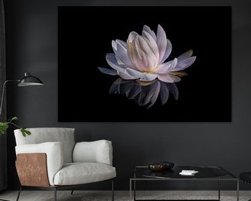 Capricious water lily by marlika art