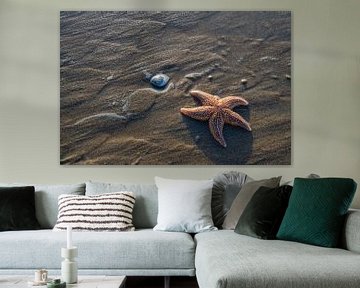 Starfish van Jos Krick Photography