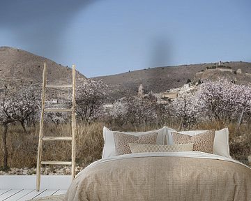 Blühende Mandelbäume mit dem Bergdorf Oria im Hintergrund von Cora Unk