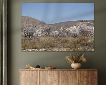 Bloeiende amandelbomen met bergdorpje Oria op de achtergrond van Cora Unk