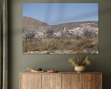 Blossoming almond trees with mountain village of Oria in the background by Cora Unk