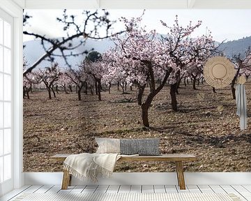 Blühende Mandelbäume, Frühling in Spanien von Cora Unk