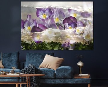 Violettes dans les nuages, double exposition sur Cora Unk