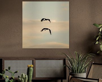 Silhouet van Ooievaars (vierkant) van Thomas Thiemann
