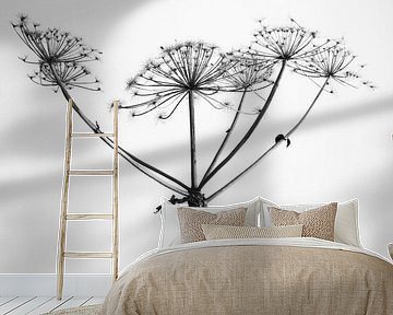 claw by Annemieke van der Wiel