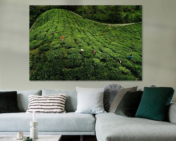 Aperçu de la chambre