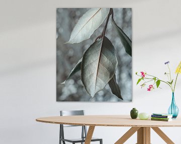 Leaves in shades of silver by Saskia Schotanus