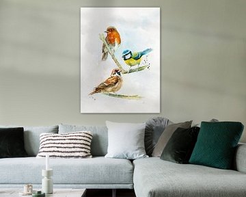 Oiseaux du jardin : merle, mésange bleue et moineau. sur Atelier DT