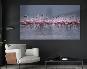 281 Flamingos Kenia Nakuru - Scan von analogem Film