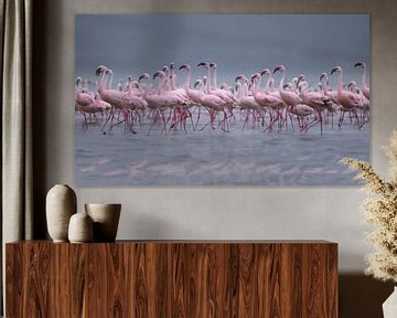 281 Flamingos Kenya Nakuru - Scan From Analog Film