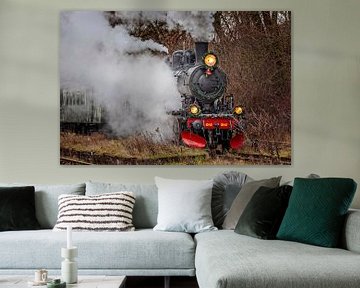 Steam locomotive 1040 of the ZLSM pulls up at Wijlre station by Rob Boon