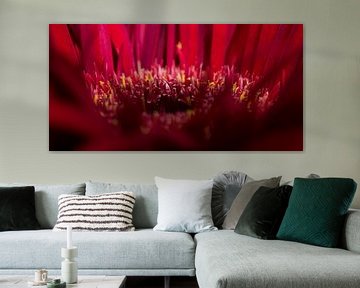 The leaves of the red Gerbera by Marjolijn van den Berg