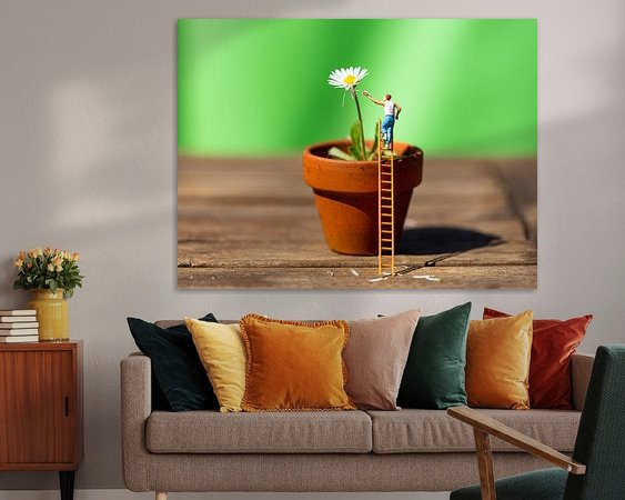 Aperçu de la chambre