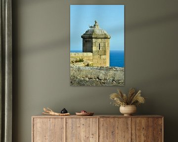 Een zeemeeuw zit op een kasteeltoren van castillo de Santa Bárbara in Alicante en kijkt uit over de  van LuCreator