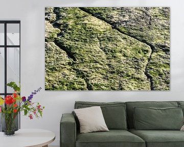 Closeup of green rough rock structure on the beach in Estoril, P by Werner Lerooy